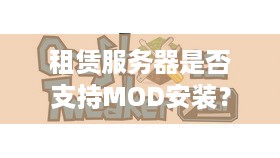 租赁服务器是否支持MOD安装？深度探讨与案例解读