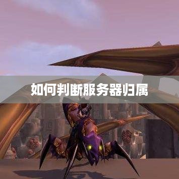 如何判断服务器归属