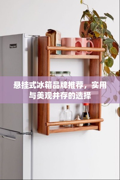 悬挂式冰箱品牌推荐，实用与美观并存的选择