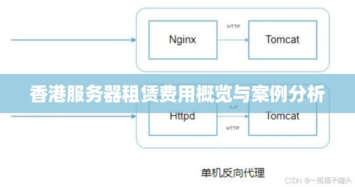香港服务器租赁费用概览与案例分析