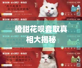 橙甜花呗套取真相大揭秘