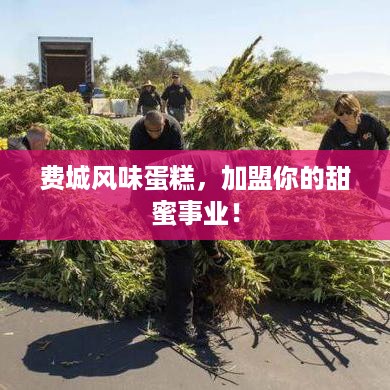 费城风味蛋糕，加盟你的甜蜜事业！