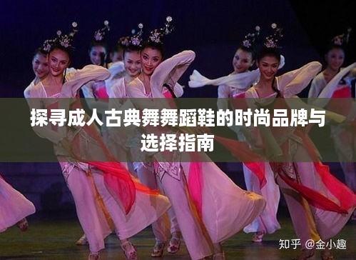 探寻成人古典舞舞蹈鞋的时尚品牌与选择指南
