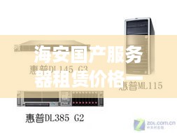 海安国产服务器租赁价格一览