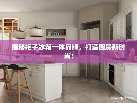 揭秘柜子冰箱一体品牌，打造厨房新时尚！