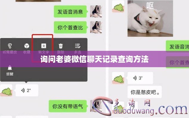 询问老婆微信聊天记录查询方法