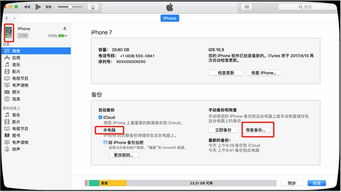 如何查看别人的微信聊天记录—微信聊天记录查看器指南