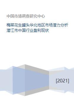 云服务器租赁销售，市场现状与盈利潜力分析