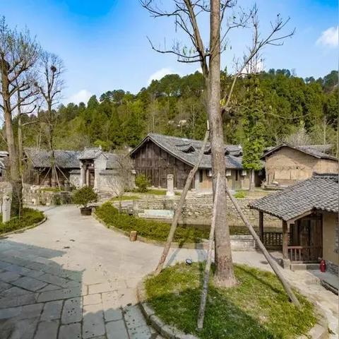 东北茶叶品牌大盘点，品味东北茶香，领略地域特色