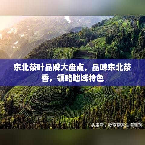 东北茶叶品牌大盘点，品味东北茶香，领略地域特色