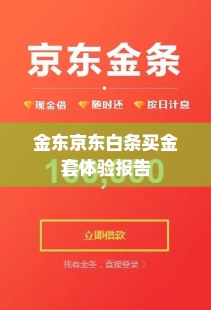 金东京东白条买金套体验报告
