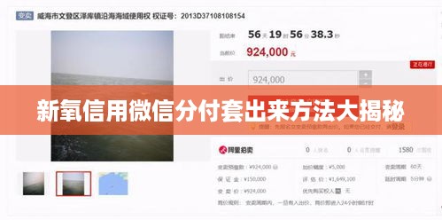 新氧信用微信分付套出来方法大揭秘