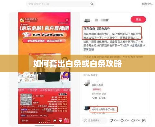 如何套出白条或白条攻略