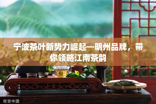 宁波茶叶新势力崛起—明州品牌，带你领略江南茶韵