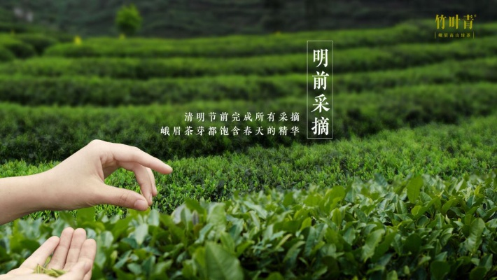 南川茶叶品牌风云榜，品味中的佼佼者，谁才是你的心头好？