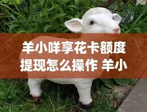 羊小咩享花卡找商店提现攻略