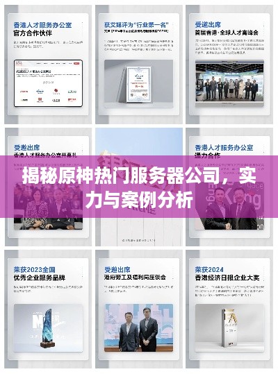 揭秘原神热门服务器公司，实力与案例分析