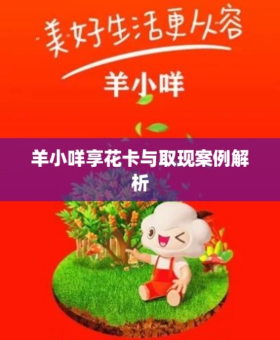 羊小咩享花卡与取现案例解析