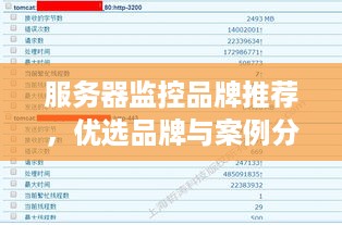 服务器监控品牌推荐，优选品牌与案例分析