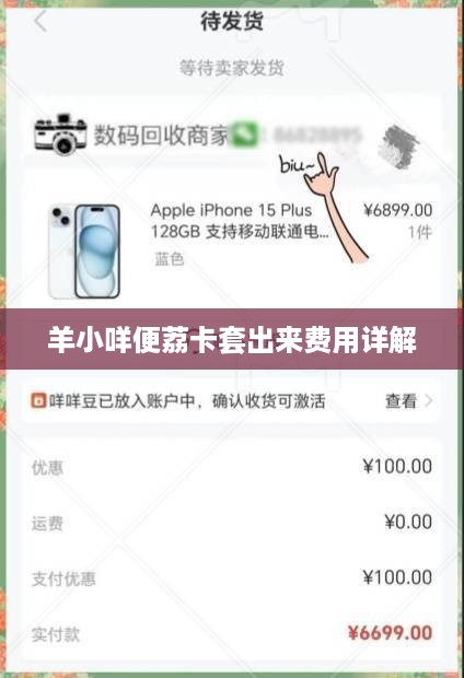 羊小咩便荔卡套出来费用详解