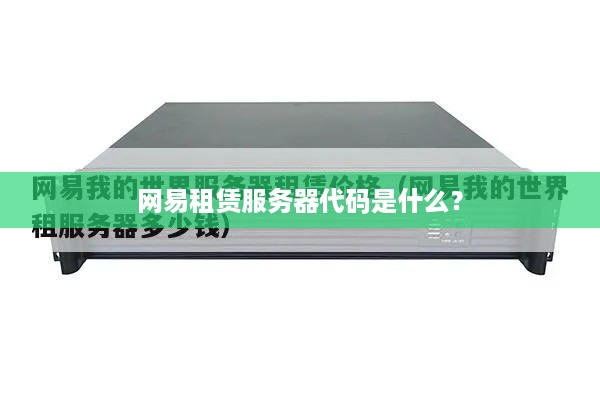 网易租赁服务器代码是什么？