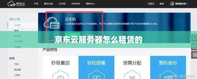 京东云服务器怎么租赁的