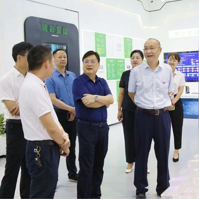 电信服务器区域选择指南，哪个区最适宜使用
