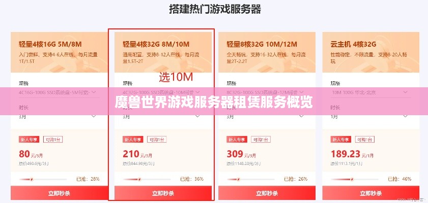 魔兽世界游戏服务器租赁服务概览