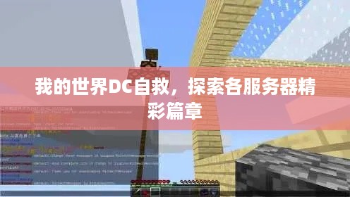 我的世界DC自救，探索各服务器精彩篇章