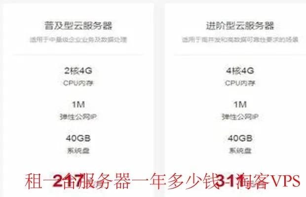 服务器租赁费用，如何找到最合适的平衡点？
