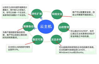 租赁云服务器市场运作解析