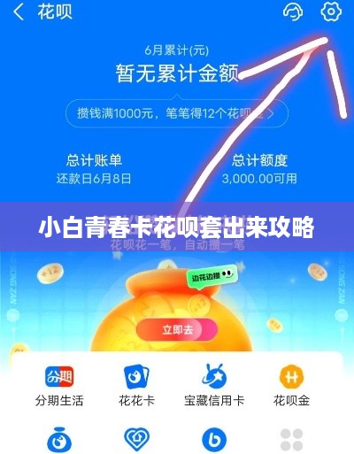 小白青春卡花呗套出来攻略