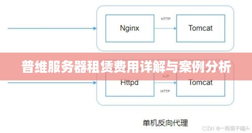 普维服务器租赁费用详解与案例分析