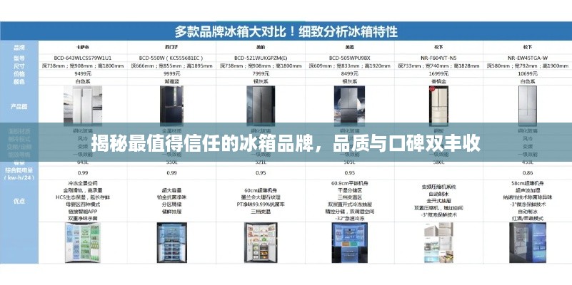 揭秘最值得信任的冰箱品牌，品质与口碑双丰收