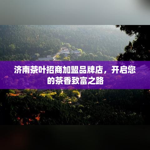济南茶叶招商加盟品牌店，开启您的茶香致富之路