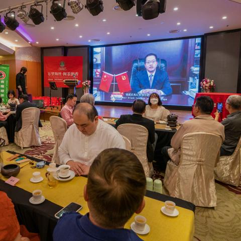 福建茶叶品牌十大盘点，品味千年茶香，领略闽茶魅力