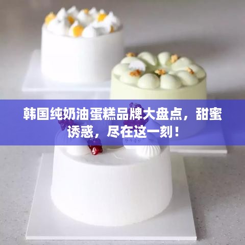 韩国纯奶油蛋糕品牌大盘点，甜蜜诱惑，尽在这一刻！