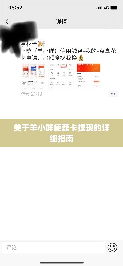 关于羊小咩便荔卡提现的详细指南