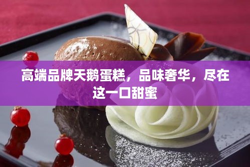 高端品牌天鹅蛋糕，品味奢华，尽在这一口甜蜜