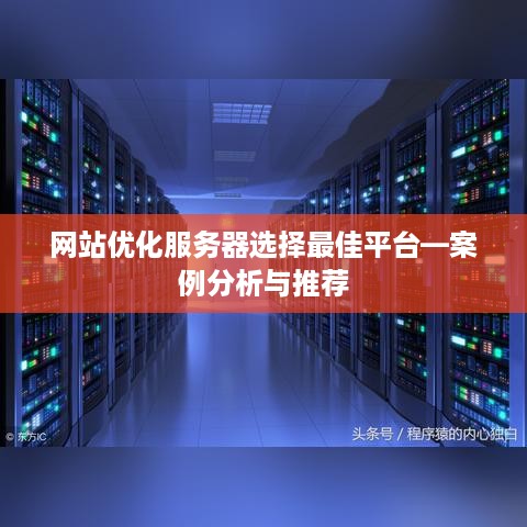 网站优化服务器选择最佳平台—案例分析与推荐
