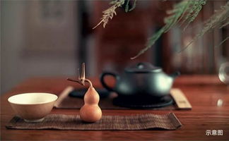 潜丰茶叶，品味历史沉淀，传承匠心独运