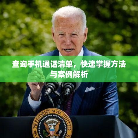 查询手机通话清单，快速掌握方法与案例解析