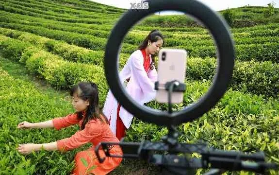 直播卖茶叶的坑与坑后的机遇—揭秘直播茶叶销售的困境与突破