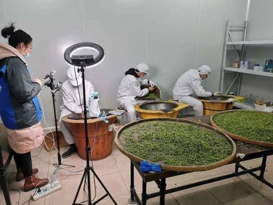 直播卖茶叶的坑与坑后的机遇—揭秘直播茶叶销售的困境与突破