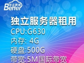 个人用服务器租赁的合法性探讨