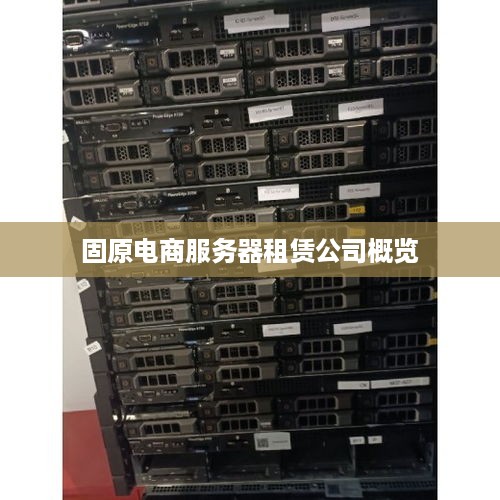 固原电商服务器租赁公司概览