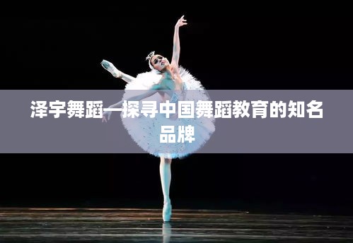 泽宇舞蹈—探寻中国舞蹈教育的知名品牌