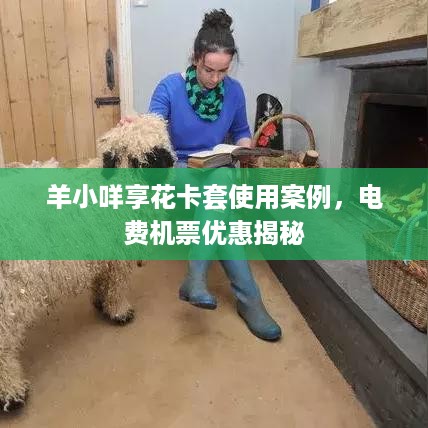 羊小咩享花卡套使用案例，电费机票优惠揭秘