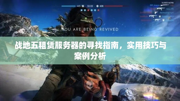 战地五租赁服务器的寻找指南，实用技巧与案例分析