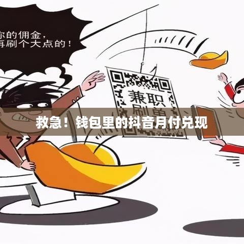 救急！钱包里的抖音月付兑现